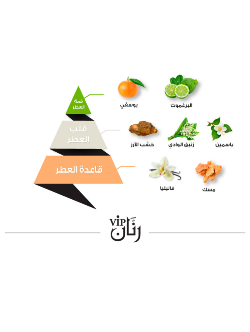 ⁦عطر رنان في أي بي -100مل⁩ - الصورة ⁦3⁩